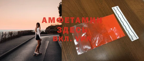 индика Балахна