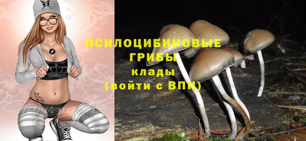 спиды Снежногорск