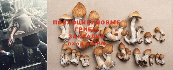 Альфа ПВП Снежинск