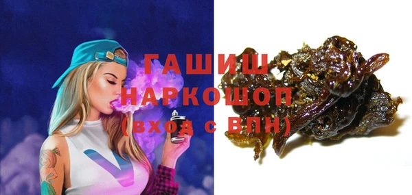 индика Балахна